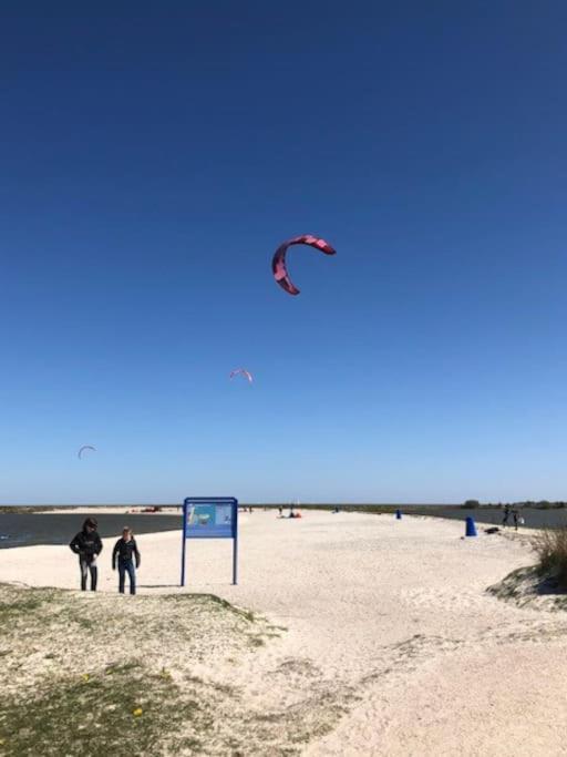 Gezellige Pipo Met Grote Schommel Aan Het Water Villa Medemblik Bagian luar foto