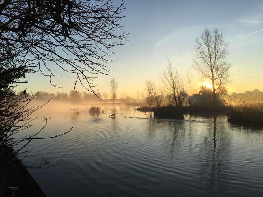Gezellige Pipo Met Grote Schommel Aan Het Water Villa Medemblik Bagian luar foto